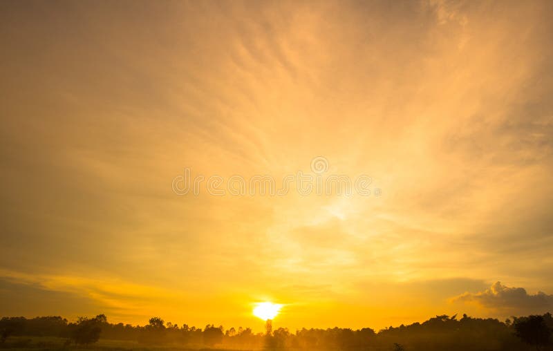 Hoàng hôn màu vàng (Gold Color Sunset): Hãy cùng đắm chìm trong không gian yên bình với bức hình về hoàng hôn màu vàng. Ánh nắng ấm vàng rực rỡ, phản chiếu đầy uyển chuyển trên cả bầu trời và lòng người, đem đến cảm giác thư thái và hạnh phúc.
