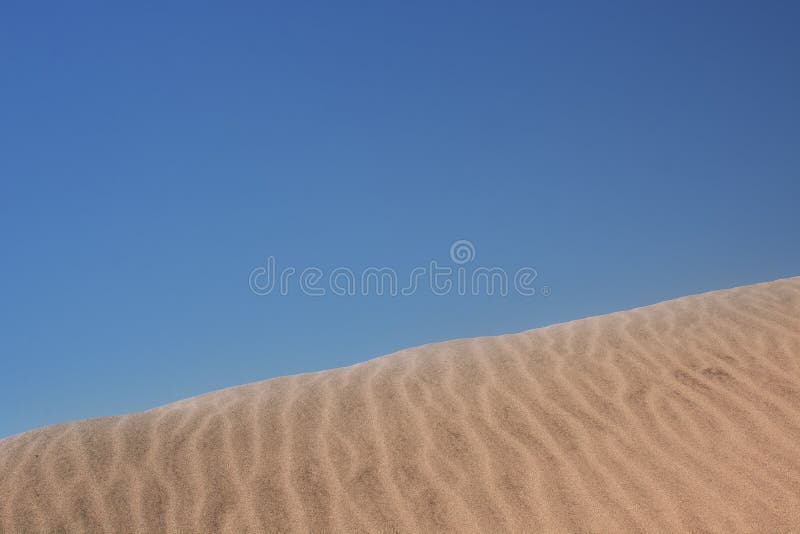 Gold Desert Sand Texture on the Beach Stock Image Image of ocean