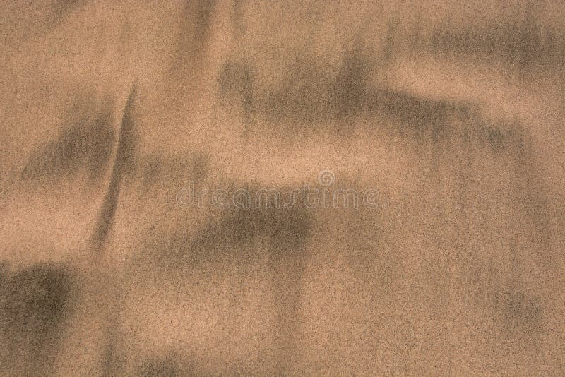 Gold Desert Sand Texture on the Beach Stock Image Image of ocean