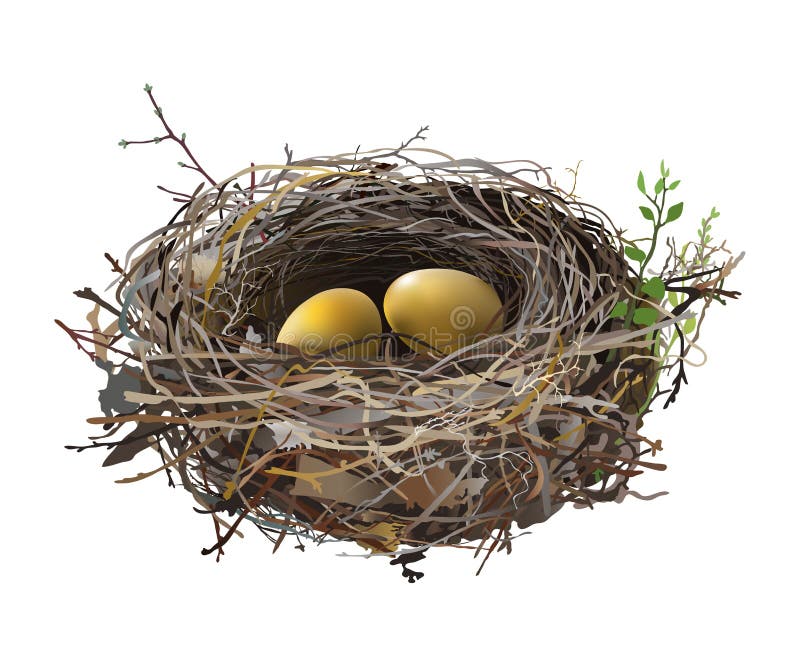 Golden Egg And Three Eggs In A Nest Stock Illustration - Download Image Now  - Easter Egg, Animal Nest, Bird's Nest - iStock