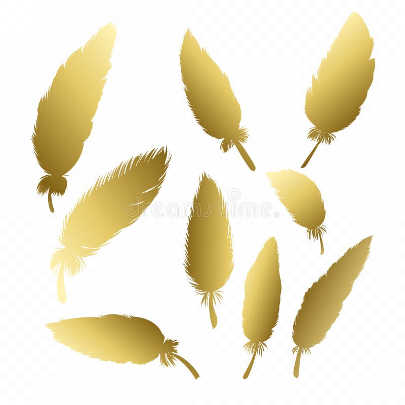 10,400+ Gold Feathers Stock Illustrations, Royalty-Free Vector