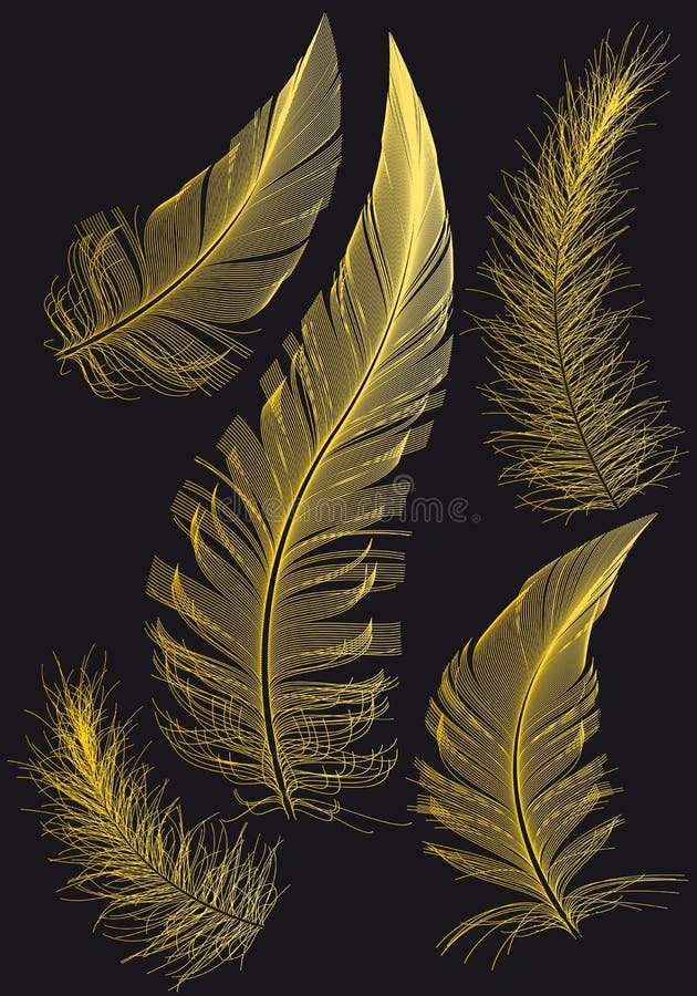 Gold Feathers Stock Illustrations – 10,818 Gold Feathers Stock