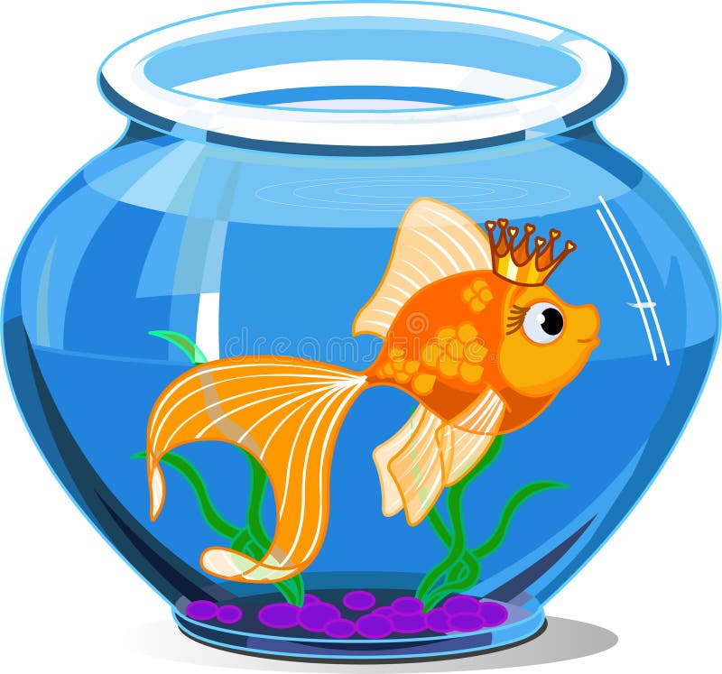 Gold Fish Tank Stock Illustrations – 3,270 Gold Fish Tank Stock