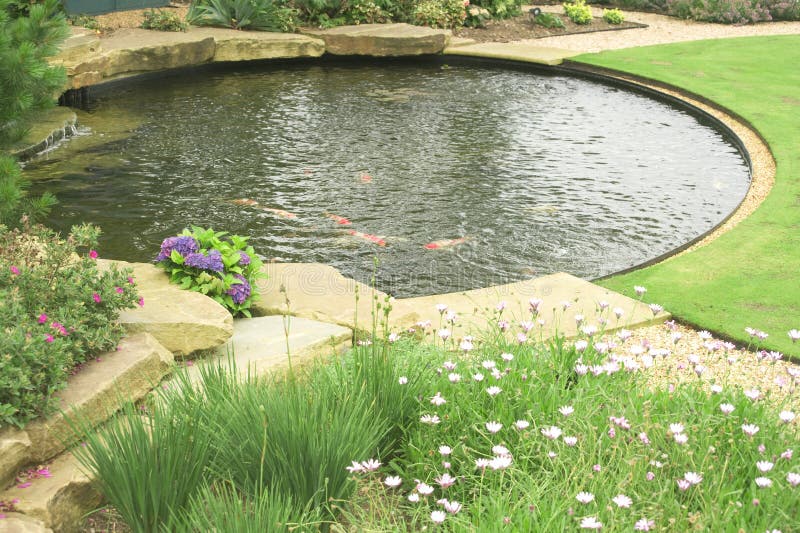 A gold fish pond in the garden.