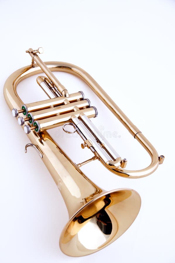 Gold Flugalhorn Isolated On White royalty free stock photography