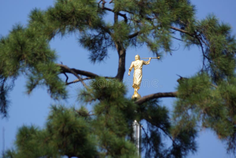 Gold image which is visible from the trees stock photo