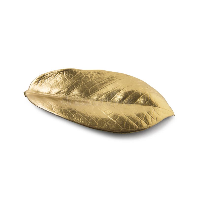 Gold Leaf on White Background Stock Image Image of brooch, floral