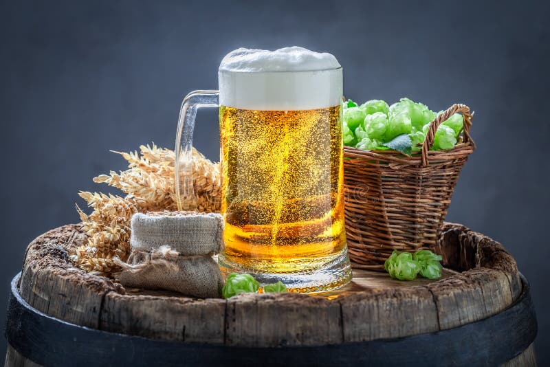 Light Beer with Foam, Hops and Wheat on Barrel Stock Image Image of