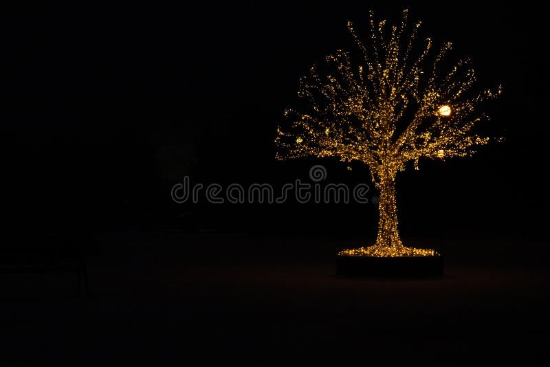 Gold lights Christmas Tree stock image. Image of backgrounds 162932917