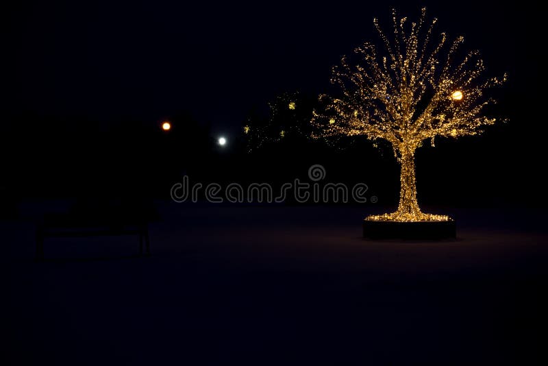 Gold lights Christmas Tree stock image. Image of particle 126187541
