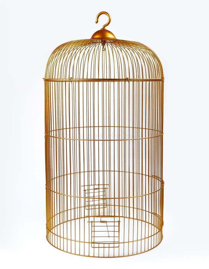 Gold Metal Birdcage, Decorative Tall Birdcage on White Isolated ...