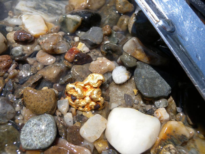 Gold nugget stock images