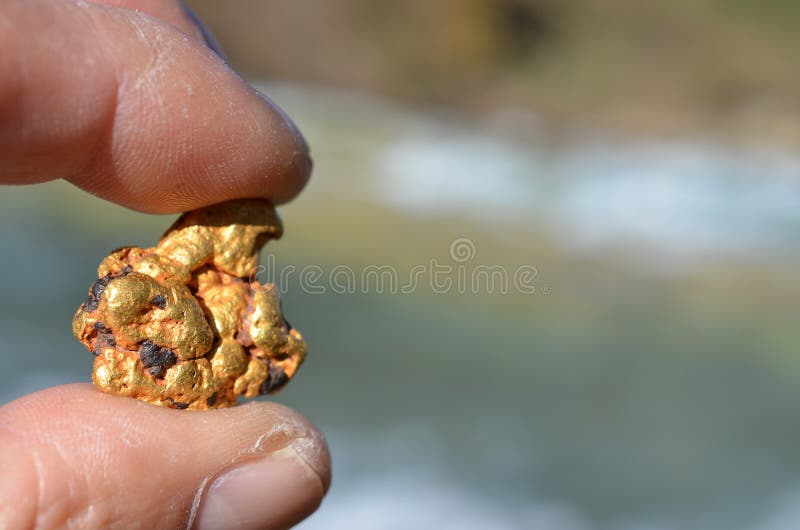 Gold nugget stock image