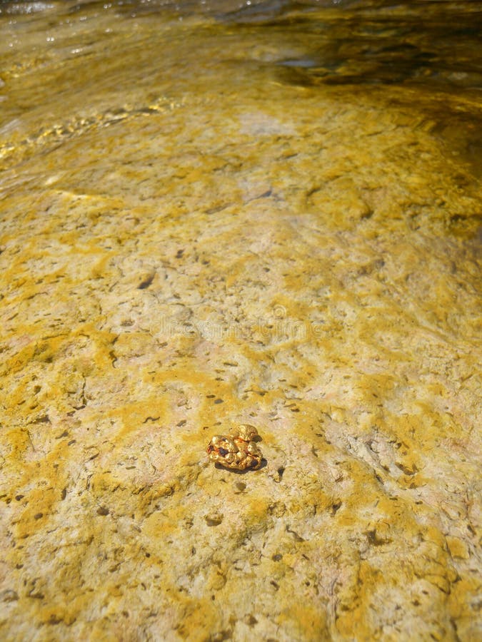Gold nugget royalty free stock image
