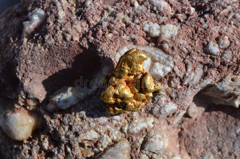 Gold nugget stock image