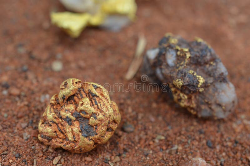 Gold nugget and specimen stock image