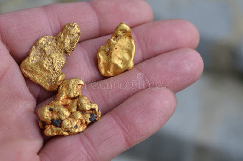 Gold nuggets from the goldfields of Australia. stock image