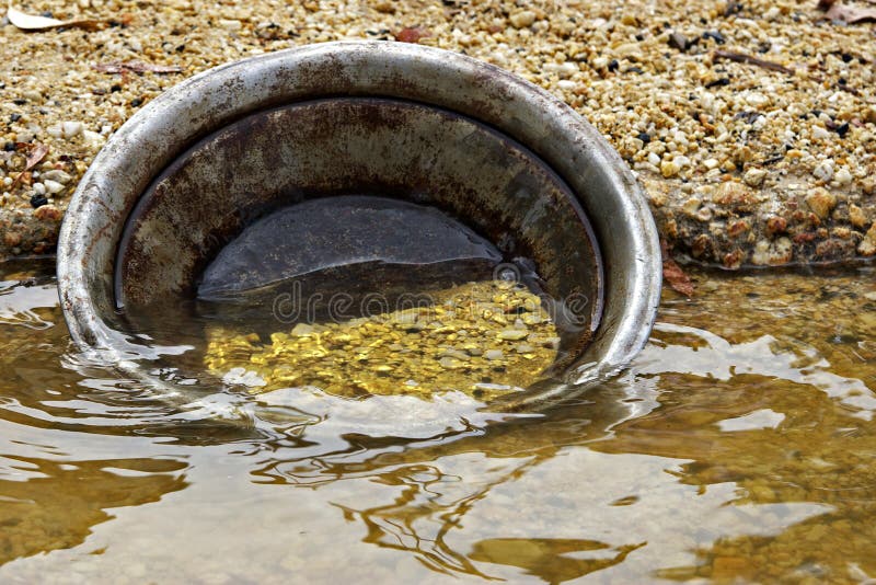 Gold pan with gold nuggets