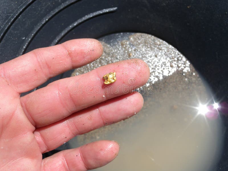 Gold panning royalty free stock image
