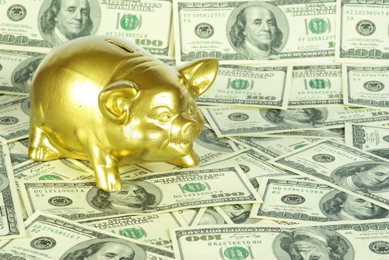 Gold piggy bank stock photo. Image of investment, money 6533734