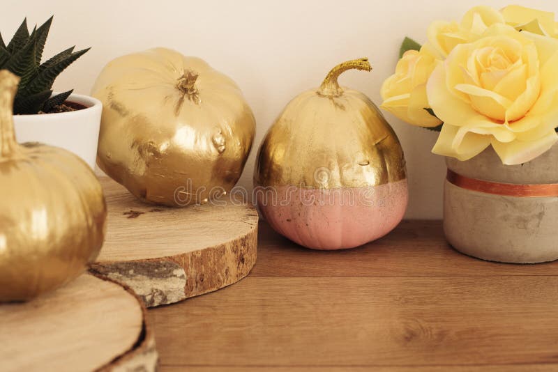 Gold and Pink Colored Pumpkins. Fall Concept Stock Image - Image of