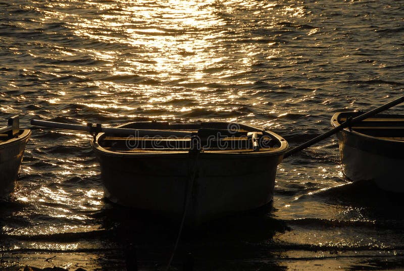 Gold reflections on the lake