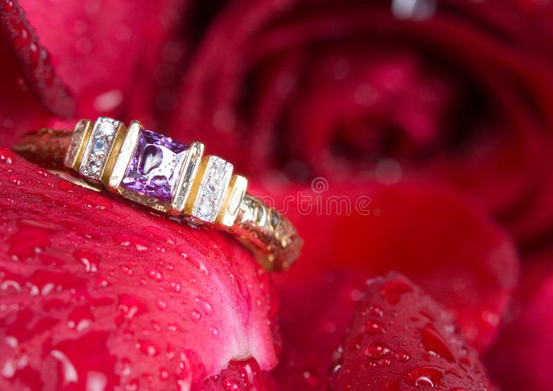 Gold ring and red rose. stock image. Image of magenta 11777853