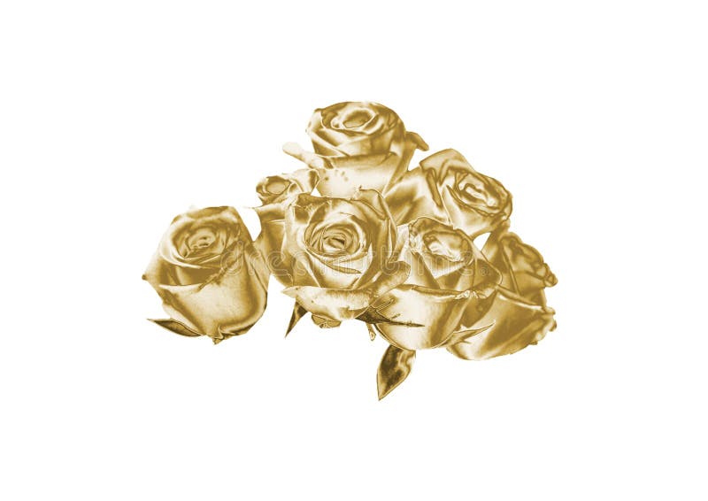 Gold rose stock photo. Image of beautiful, beauty, flowers 96037770