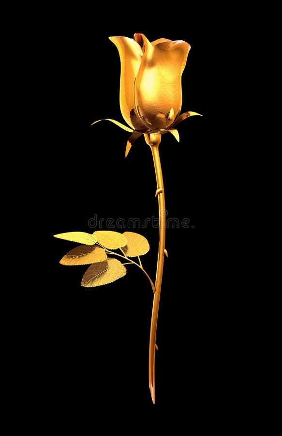 Gold rose in black stock image. Image of black, gold, finances - 8908673