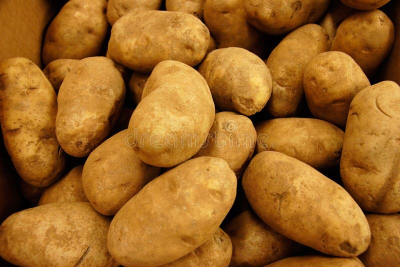 Gold Russet Potatoes