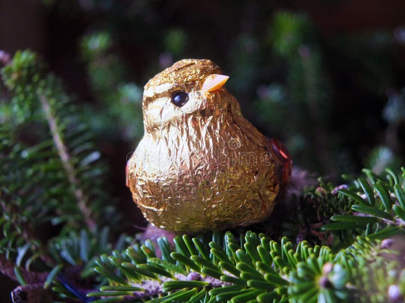 Gold Shiny Bird Christmas Tree Decoration on a Pine Branch Stock Photo