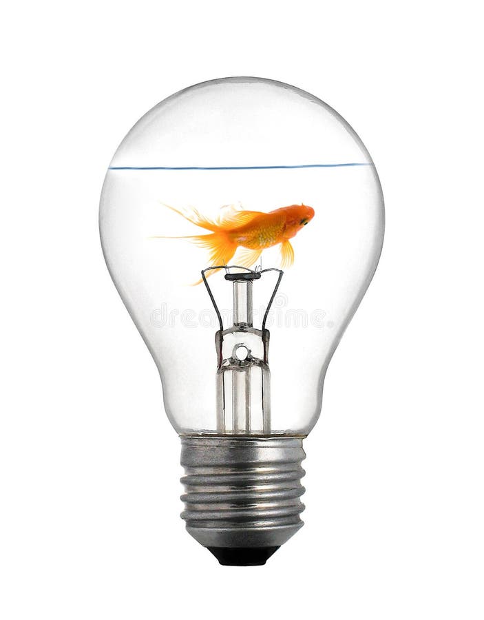 Gold small fish in light bulb on a white stock photography Gold small fish in light bulb on a white stock photography