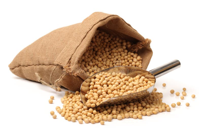 Gold soybean