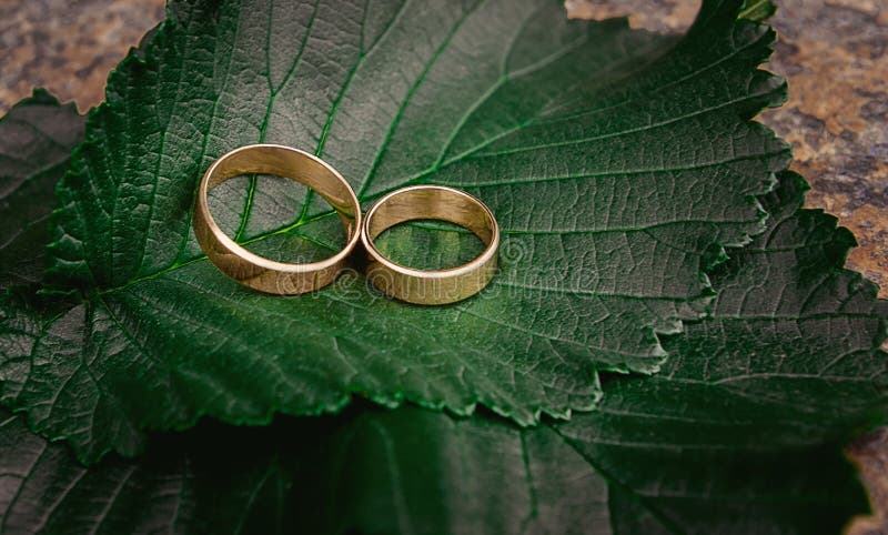 Gold Wedding Rings on a Background of Green Leaves Stock Image - Image of  color, green: 181173513