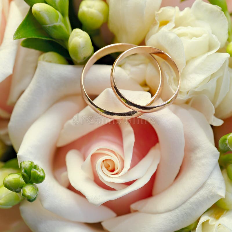 Gold Wedding Rings on Bouquet of Flowers for the Bride Stock Photo