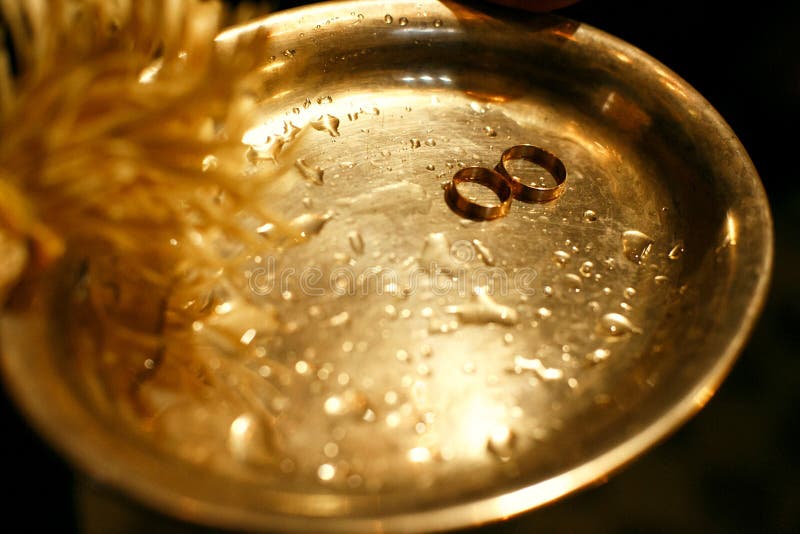 Gold Wedding Rings Lie on a Wet Bronze Tray Stock Photo Image of