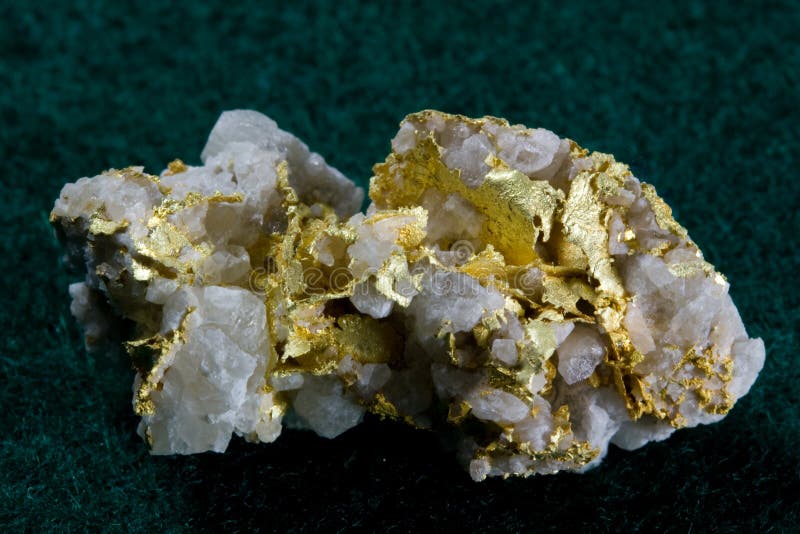 Gold in White Quartz Specimen stock images Gold in White Quartz Specimen stock images