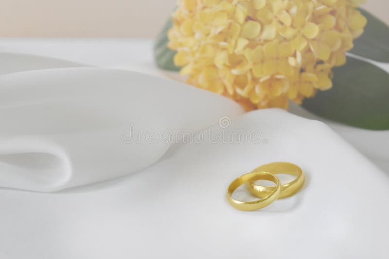 Goldehering haben einen speziellen Tag Im Hintergrund ist Unschärfeblume und leerer Raum für Text lizenzfreies stockbild Goldehering haben einen speziellen Tag Im Hintergrund ist Unschärfeblume und leerer Raum für Text lizenzfreies stockbild