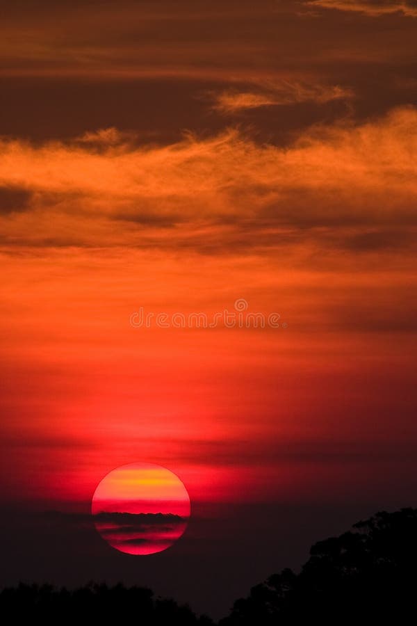 Golden African Sunset