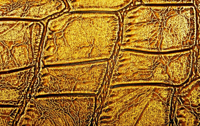 Golden Alligator Patterned Background Stock Photo Image of fashion