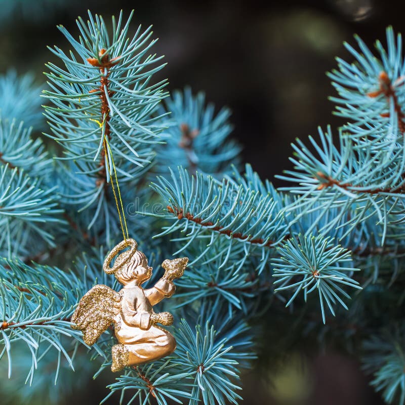 Golden angel with a bird on blue spruce. Place for text. Element Christmas design. stock photo Golden angel with a bird on blue spruce. Place for text. Element Christmas design. stock photo