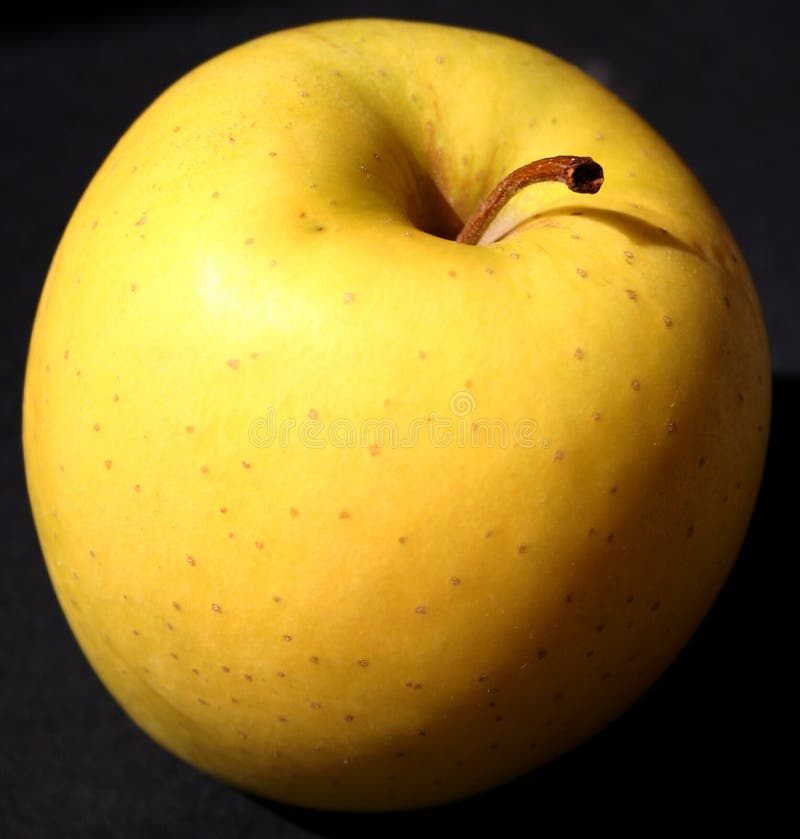 Golden Delicious Apple (w/path) Stock Image Image of yellow, clipping
