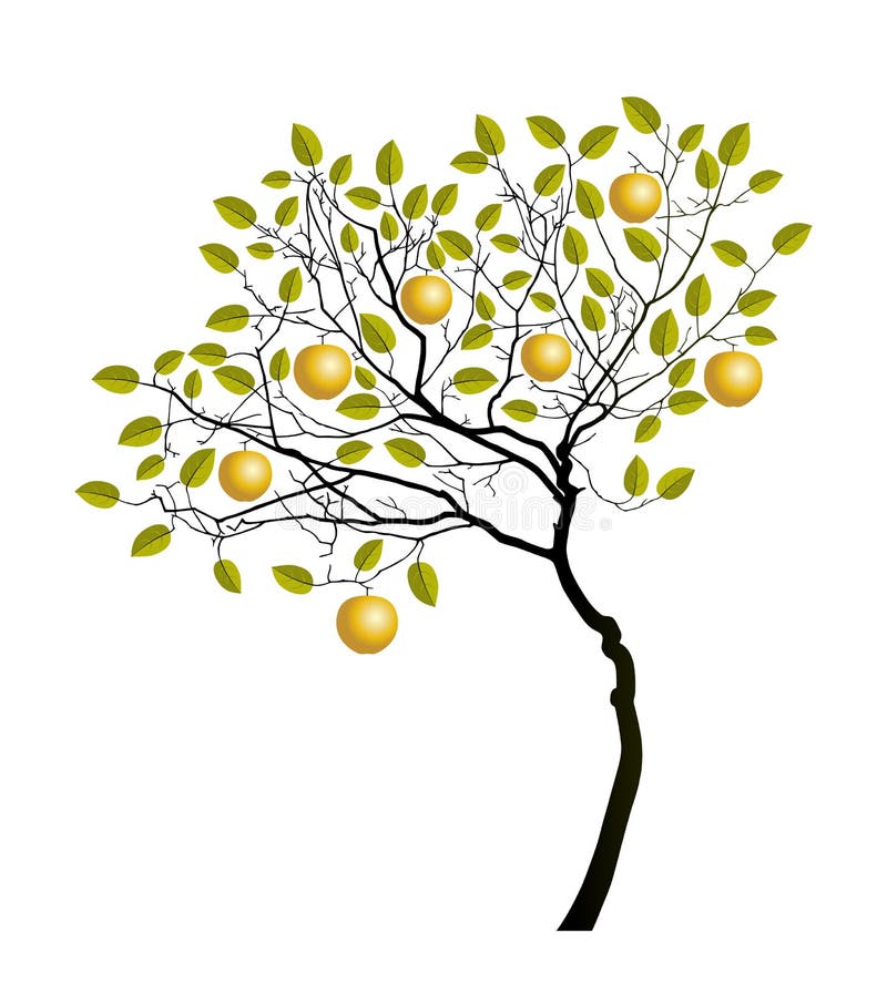 Golden apple tree stock vector. Illustration of branch 185237192