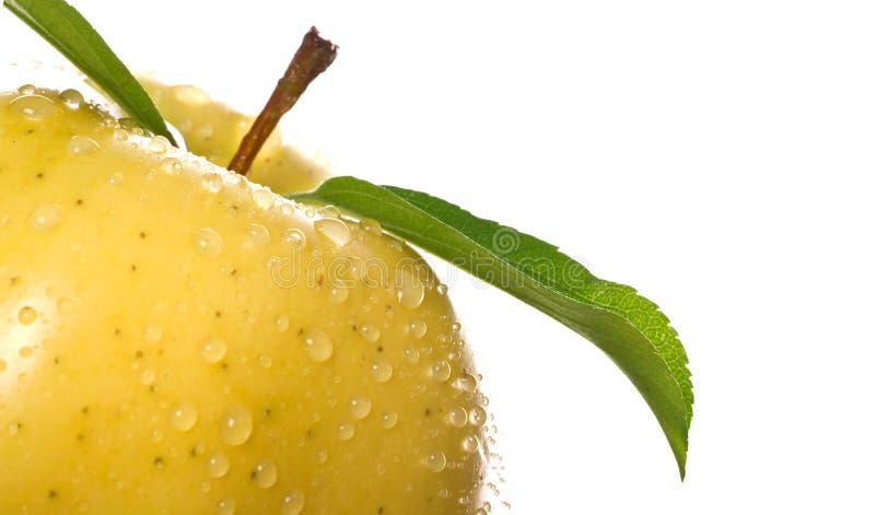 Golden Apple with Water Drops