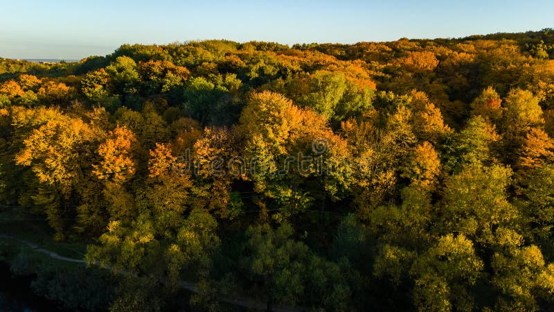 Golden autumn background, aerial drone view of forest with yellow trees and beautiful lake landscape from above, Kiev, Ukraine