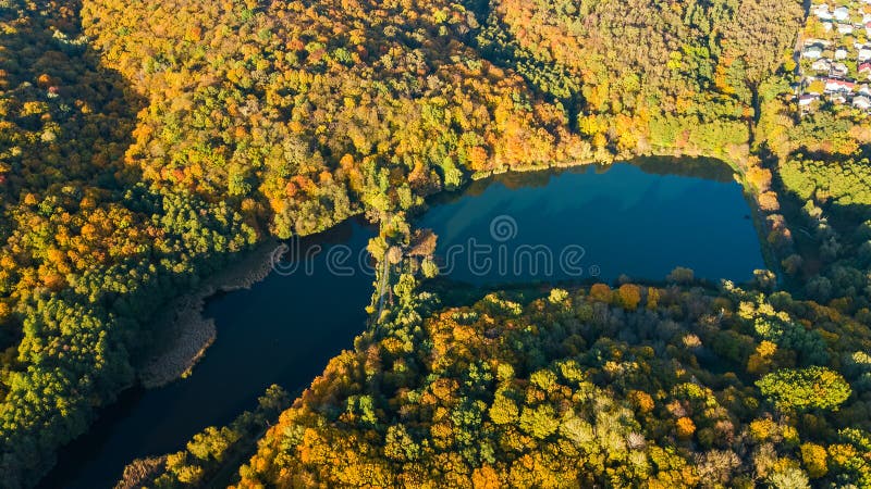 Golden autumn background, aerial view of forest with yellow trees and beautiful lake landscape from above, Kiev, Goloseevo forest