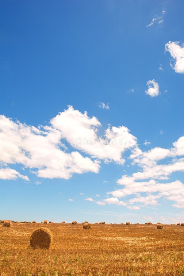 Golden Bales of Hay on the Lands Stock Photo Image of clouds, farming