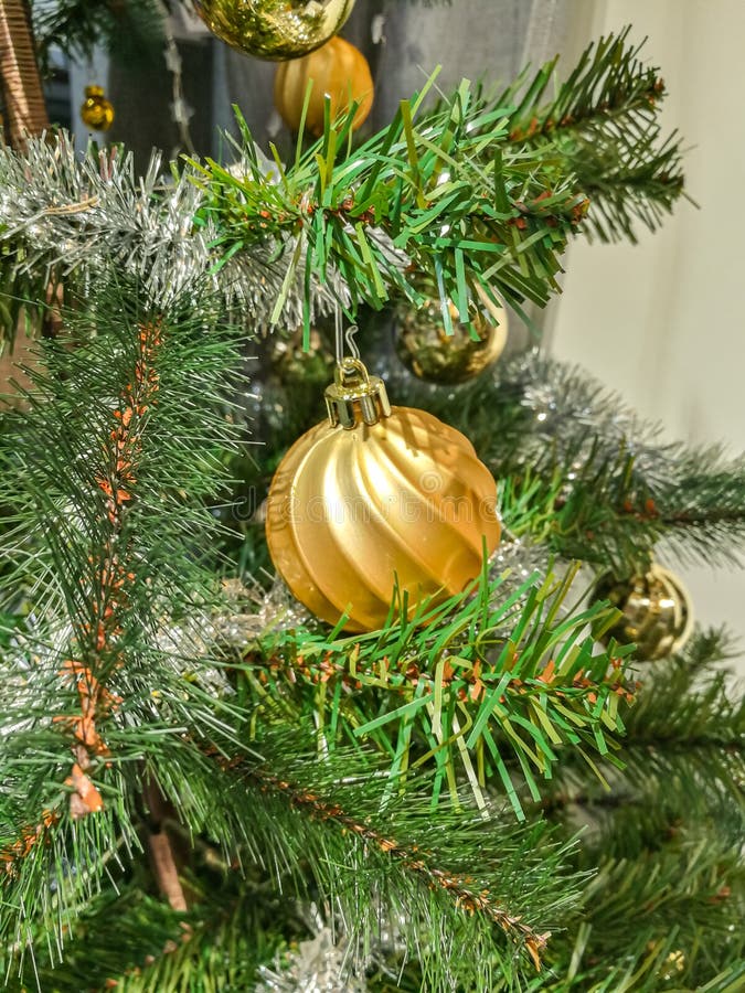 Golden circle ball hanging on green leaves christmas tree. Decorative pine branch for celebration new year.  symbol for holiday and celebretion. no people. Golden circle ball hanging on green leaves christmas tree. Decorative pine branch for celebration new year.  symbol for holiday and celebretion. no people