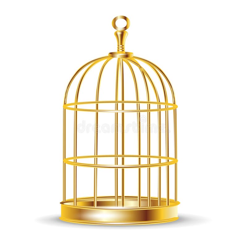 Golden Bird Cage with Bird Inside Stock Vector Illustration of