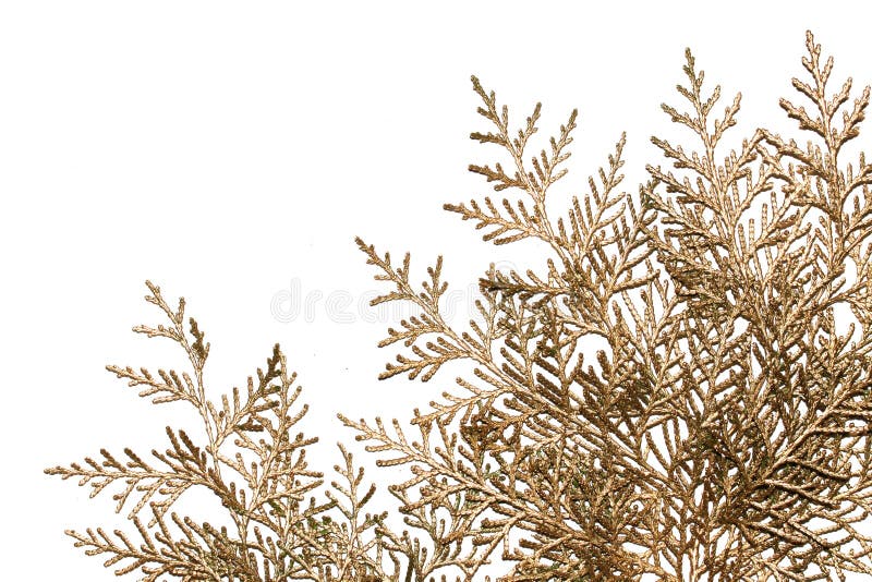 Golden branches stock image. Image of tree, decoration 17070717